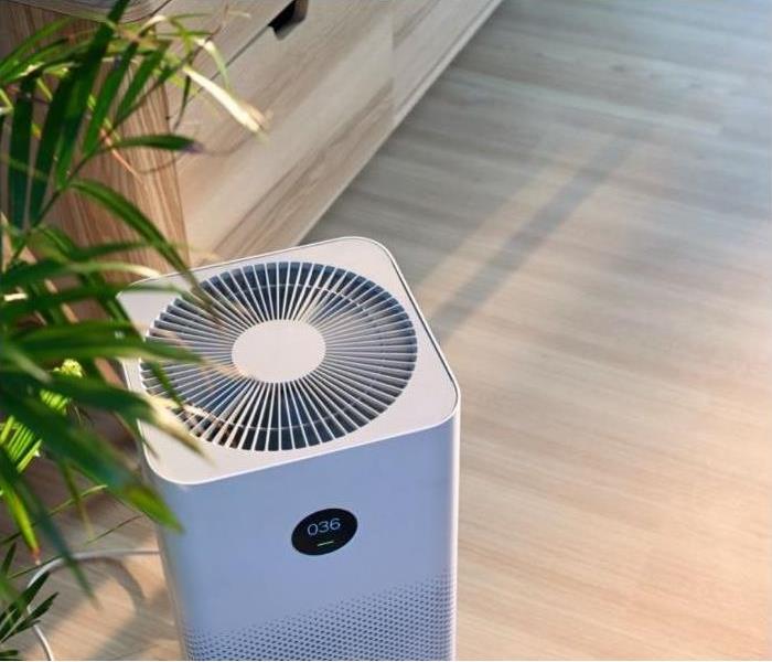 Air purifier in a Phoenix home