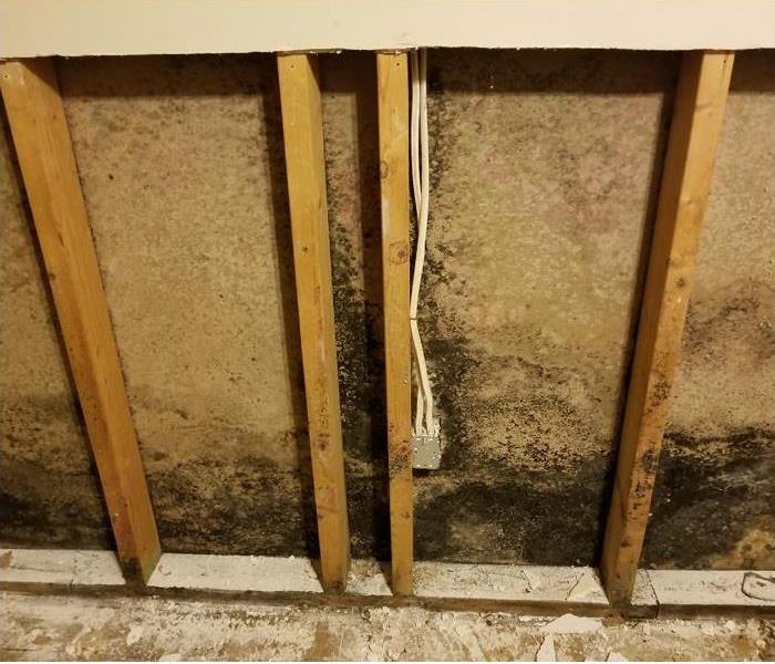 Wall in Phoenix home with mold behind it, due to a leaky pipe.