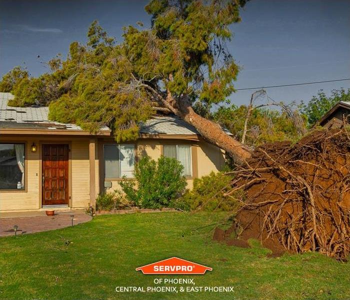 Storm Damage to a roof in Phoenix when a tree falls on top of it.