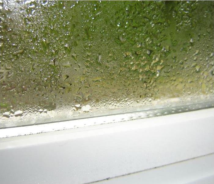 condensation and mold growth in Phoenix home